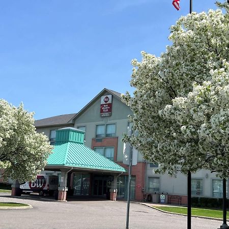 Best Western Plus Travel Hotel Toronto Airport Bagian luar foto